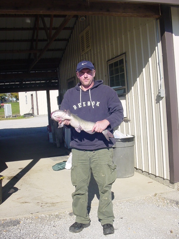 channel cat near Brookville