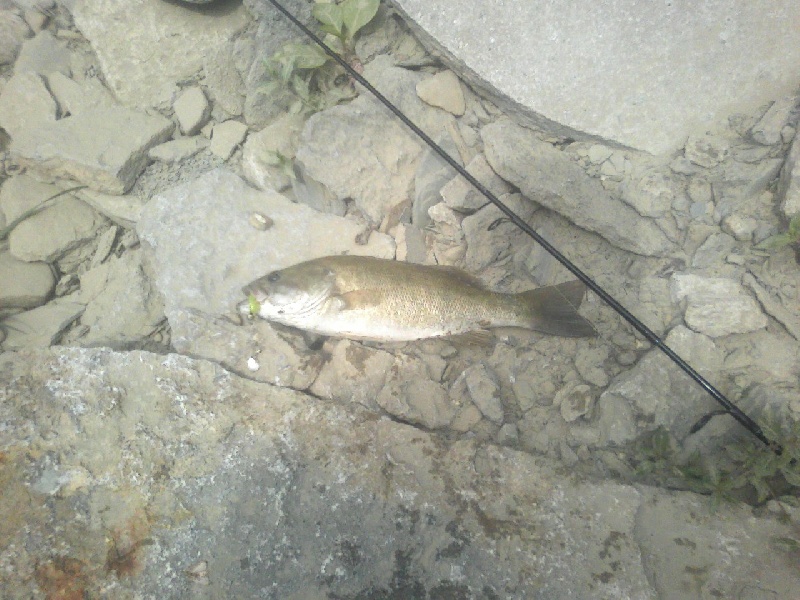 Banklick at Park near Lawrenceburg