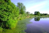 Lake Maxinkuckee