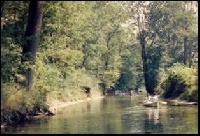 Pigeon River